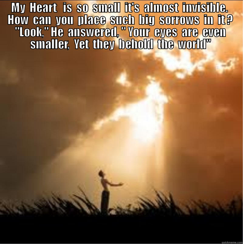 MY  HEART   IS  SO  SMALL  IT'S  ALMOST  INVISIBLE.  HOW  CAN  YOU  PLACE  SUCH  BIG  SORROWS  IN  IT ? 