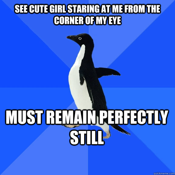 see cute girl staring at me from the corner of my eye must remain perfectly still    Socially Awkward Penguin