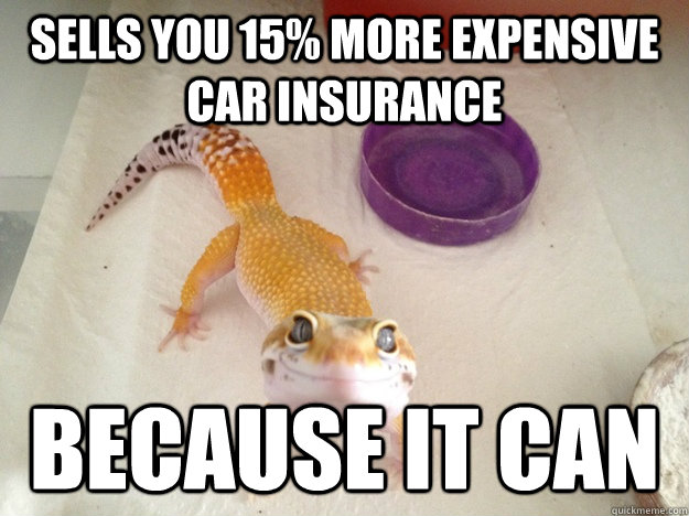 Sells you 15% more expensive car insurance because it can  