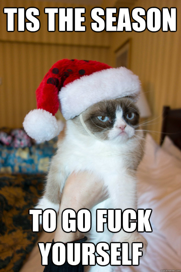 Tis the season To go fuck yourself  Grumpy xmas
