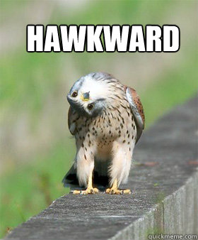 Hawkward - Hawkward  Hawkward