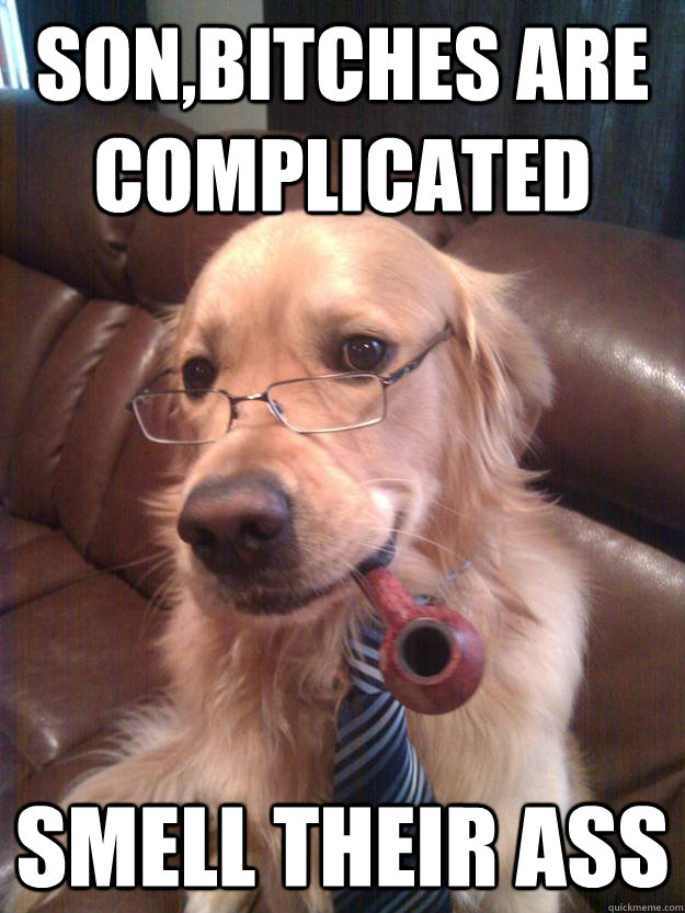 son,bitches are complicated Smell their ass - son,bitches are complicated Smell their ass  Lecture Dad Dog