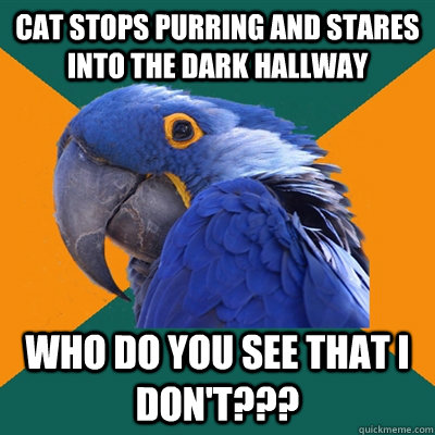 cat stops purring and stares into the dark hallway  who do you see that i don't???  Paranoid Parrot