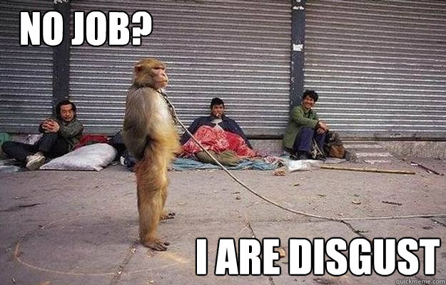 i are disgust no job? - i are disgust no job?  Superior Monkey
