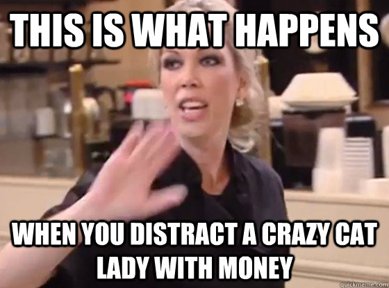 This is what happens When you distract a crazy cat lady with money  Overly Hostile Amy