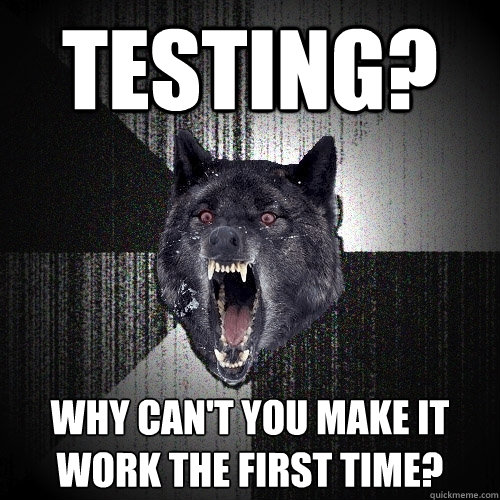 testing? why can't you make it work the first time?  Insanity Wolf