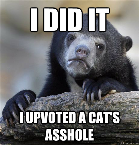 I did it I upvoted a cat's asshole  Confession Bear