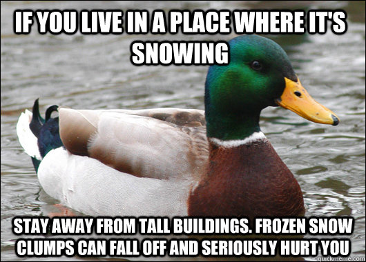 If you live in a place where it's snowing Stay away from tall buildings. Frozen Snow clumps can fall off and seriously hurt you  Actual Advice Mallard