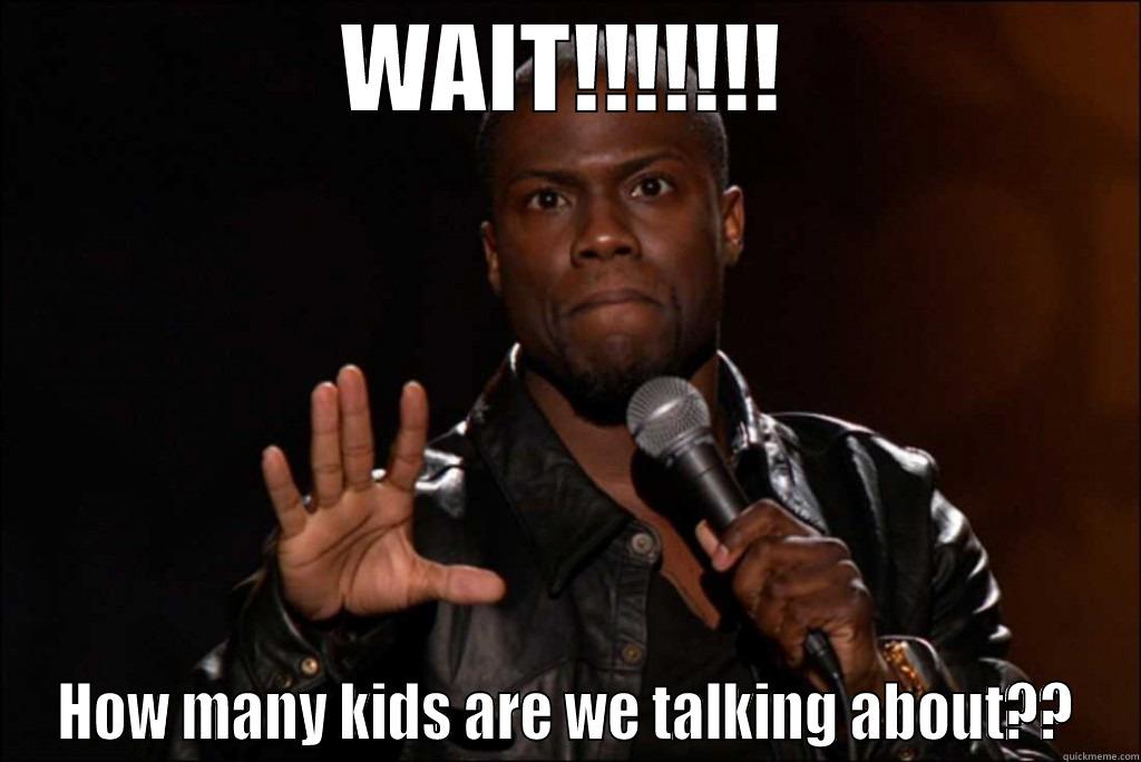 too many kids - WAIT!!!!!!! HOW MANY KIDS ARE WE TALKING ABOUT?? Misc