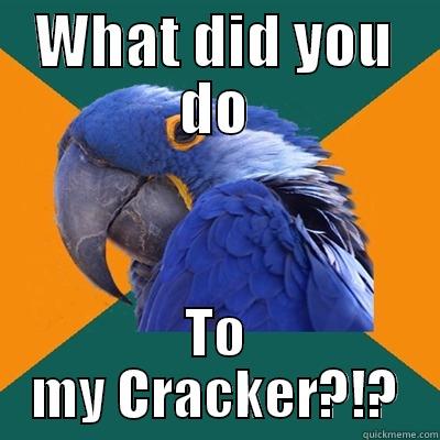 WHAT DID YOU DO TO MY CRACKER?!? Paranoid Parrot
