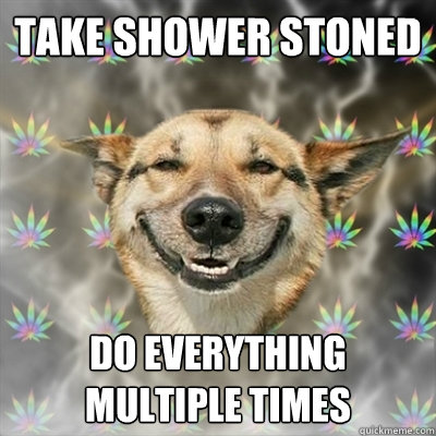 Take shower stoned do everything multiple times  Stoner Dog