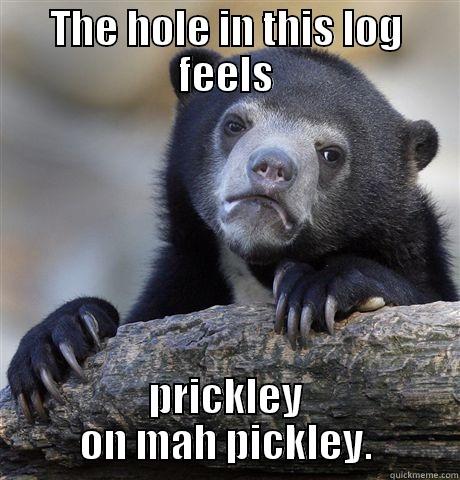 THE HOLE IN THIS LOG FEELS PRICKLEY ON MAH PICKLEY. Confession Bear