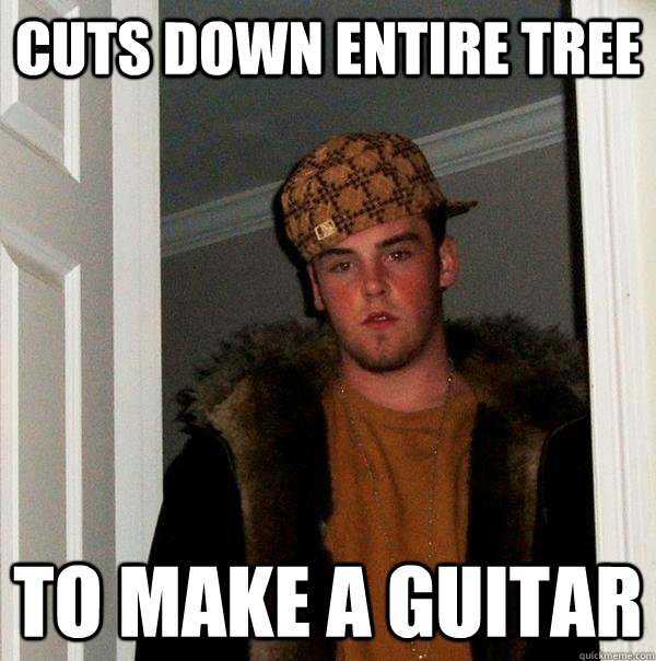 CUTS DOWN ENTIRE TREE TO MAKE A GUITAR - CUTS DOWN ENTIRE TREE TO MAKE A GUITAR  Scumbag Steve