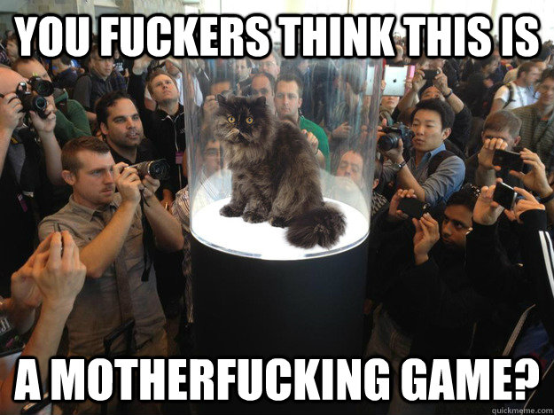 You fuckers think this is a motherfucking game?  