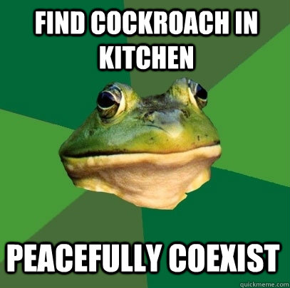 find cockroach in kitchen peacefully coexist  Foul Bachelor Frog