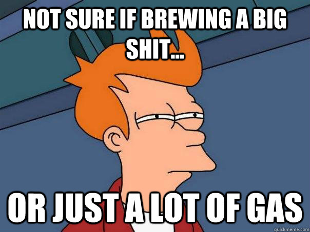 NOT SURE IF BREWING A BIG SHIT... OR JUST A LOT OF GAS - NOT SURE IF BREWING A BIG SHIT... OR JUST A LOT OF GAS  Futurama Fry