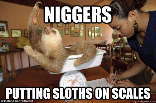Niggers Putting sloths on scales  Dramatic Sloth