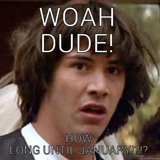 January blues - WOAH DUDE! HOW LONG UNTIL JANUARY!?!? conspiracy keanu