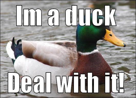 IM A DUCK DEAL WITH IT! Actual Advice Mallard