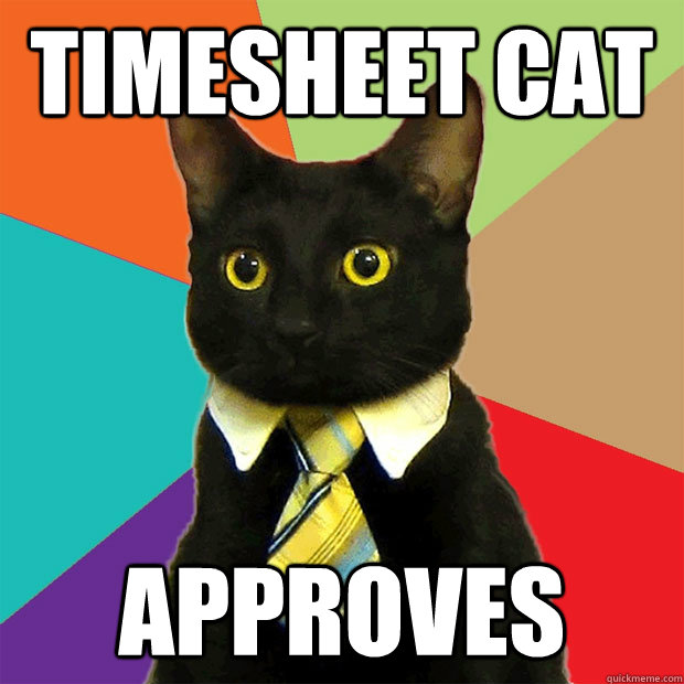 TIMESHEET CAT APPROVES - TIMESHEET CAT APPROVES  Business Cat