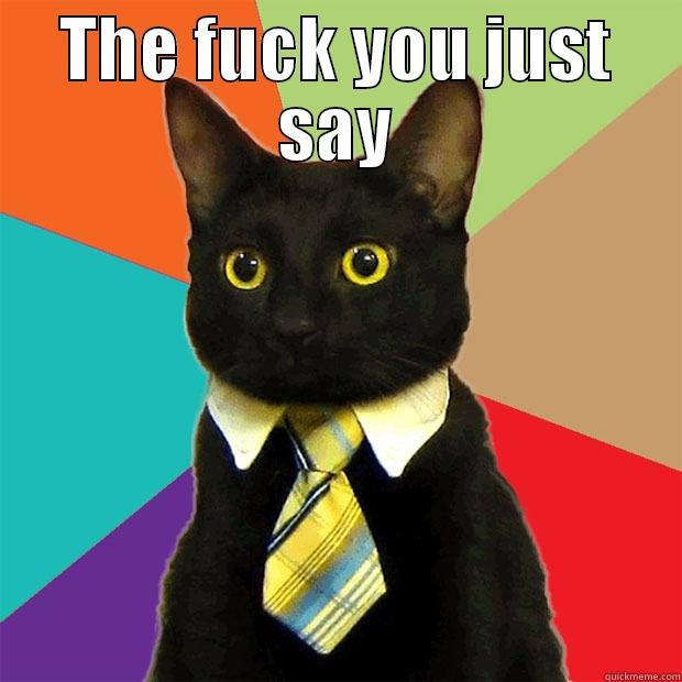 THE FUCK YOU JUST SAY  Business Cat