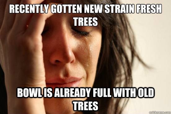 Recently gotten new strain fresh trees Bowl is already full with old trees  First World Problems