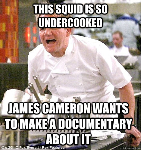 This squid is so undercooked james cameron wants to make a documentary about it - This squid is so undercooked james cameron wants to make a documentary about it  gordon ramsay