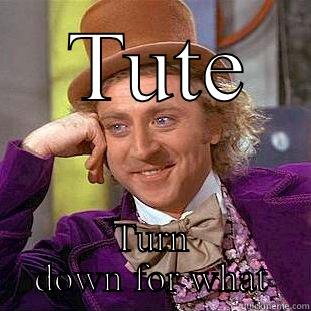  TUTE TURN DOWN FOR WHAT Condescending Wonka