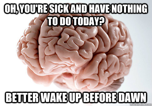 Oh, you're sick and have nothing to do today? Better wake up before dawn  Scumbag Brain