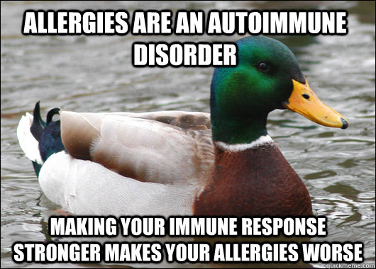 Allergies are an autoimmune disorder Making your immune response stronger makes your allergies worse  Actual Advice Mallard