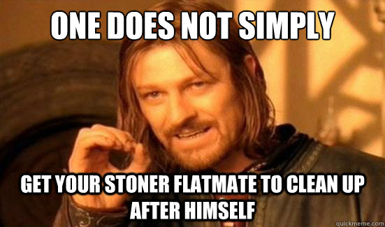 One Does Not Simply get your stoner flatmate to clean up after himself  Boromir