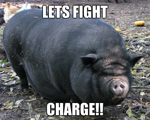 Lets Fight Charge!! - Lets Fight Charge!!  implacable pig