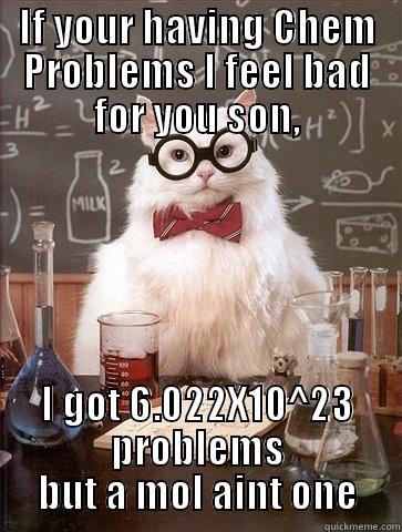 IF YOUR HAVING CHEM PROBLEMS I FEEL BAD FOR YOU SON, I GOT 6.022X10^23 PROBLEMS BUT A MOL AINT ONE Chemistry Cat