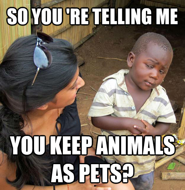 SO YOU 'RE TELLING ME YOU KEEP ANIMALS AS PETS?  Sceptical 3rd world child