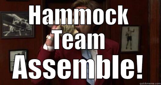 HAMMOCK TEAM ASSEMBLE! Misc