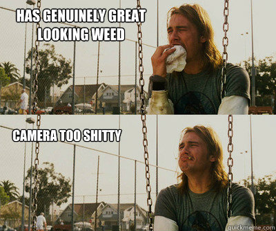 Has genuinely great looking weed Camera too shitty  First World Stoner Problems