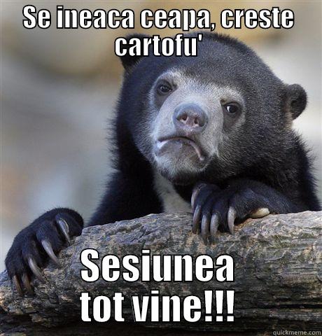 SE INEACA CEAPA, CRESTE CARTOFU' SESIUNEA TOT VINE!!! Confession Bear