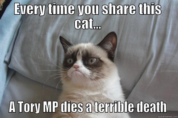 EVERY TIME YOU SHARE THIS CAT... A TORY MP DIES A TERRIBLE DEATH Grumpy Cat