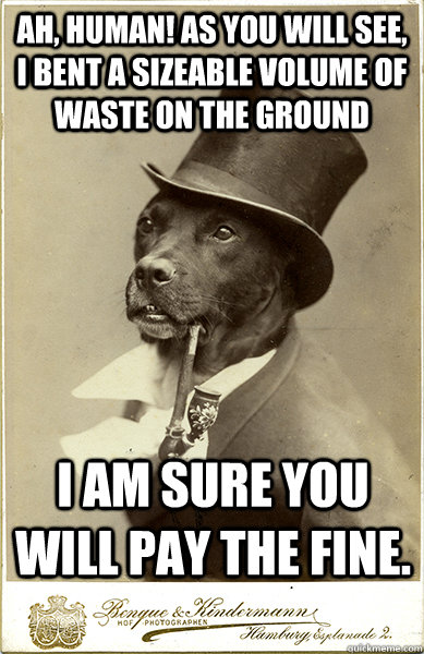 ah, human! As you will see, I bent a sizeable volume of waste on the ground i am sure you will pay the fine. - ah, human! As you will see, I bent a sizeable volume of waste on the ground i am sure you will pay the fine.  Old Money Dog