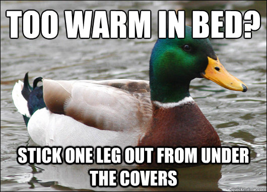 Too warm in bed? Stick one leg out from under the covers  Actual Advice Mallard