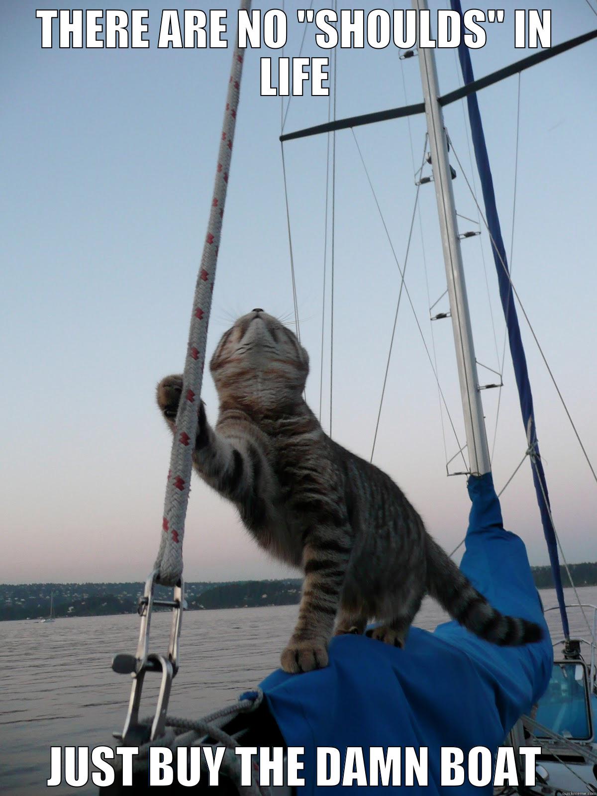 The real boat cat. - THERE ARE NO 