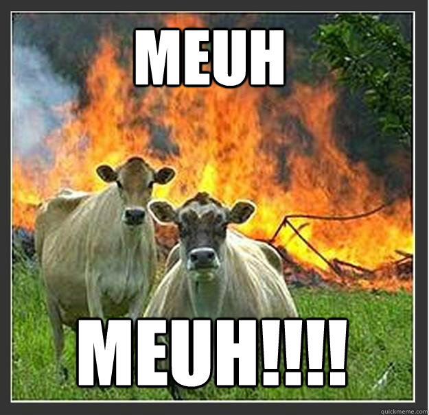 meuh meuh!!!!  Evil cows