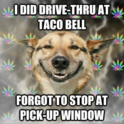 I did Drive-thru at Taco Bell Forgot to stop at pick-up window - I did Drive-thru at Taco Bell Forgot to stop at pick-up window  Stoner Dog