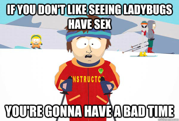 if you don't like seeing ladybugs have sex You're gonna have a bad time  Super Cool Ski Instructor