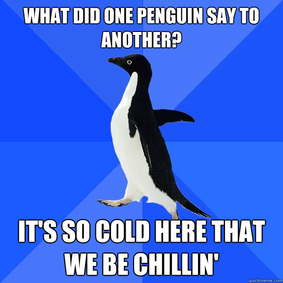 What did one penguin say to another? it's so cold here that we be chillin'  Socially Awkward Penguin