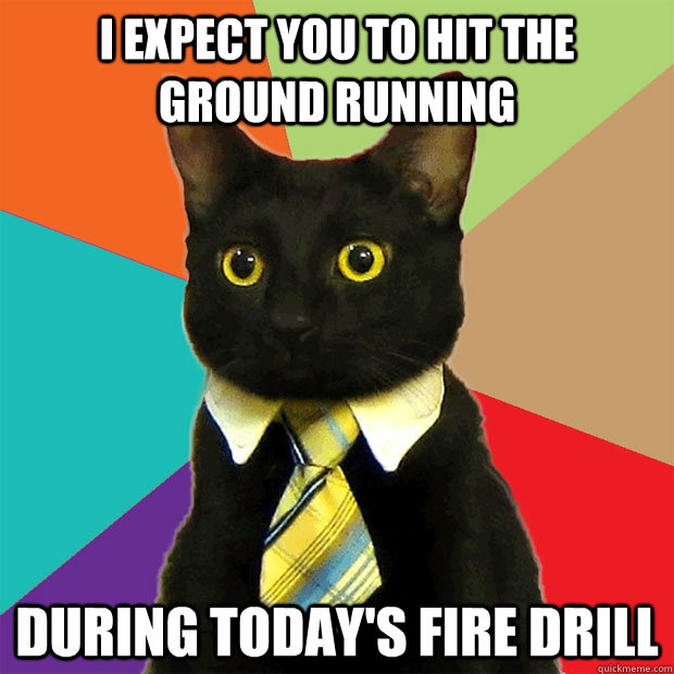 i expect you to hit the ground running during today's fire drill - i expect you to hit the ground running during today's fire drill  Business Cat