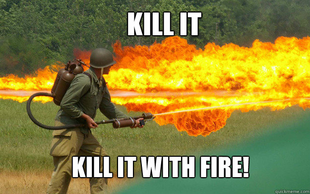 Kill it Kill it with fire!  