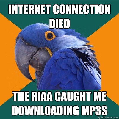Internet connection died The RIAA caught me downloading mp3s  Paranoid Parrot