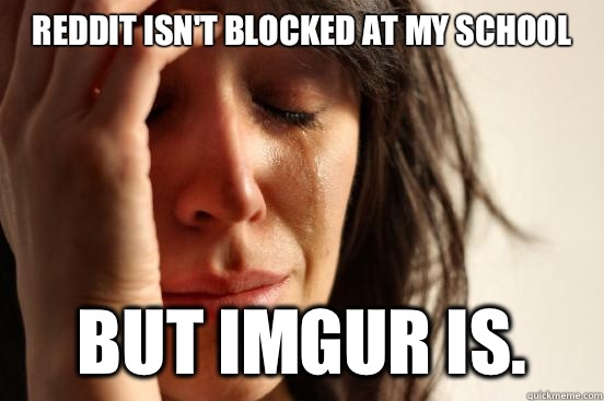 Reddit isn't blocked at my school But imgur is.  First World Problems