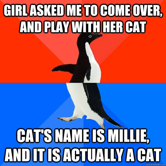 girl asked me to come over, and play with her cat cat's name is millie, and it is actually a cat  Socially Awesome Awkward Penguin